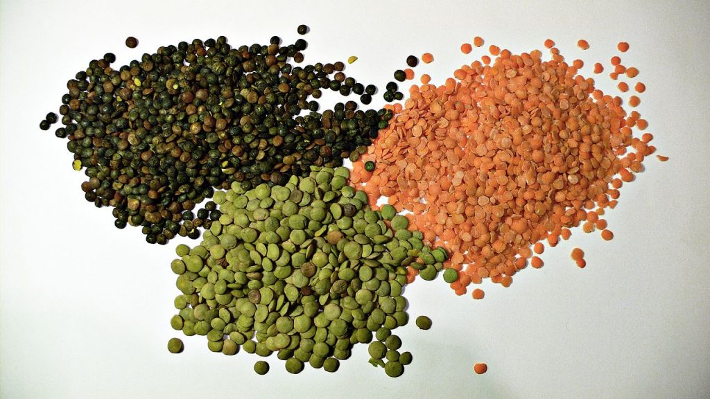 Os legumes são as sementes comestíveis de plantas leguminosas cultivadas para alimentação. Feijões secos, lentilhas e ervilhas são algumas das mais conhecidas e consumidas. Foto: PNUMA