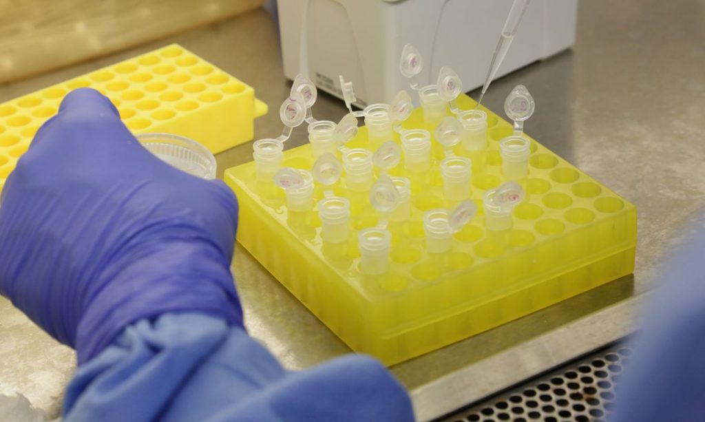Diagnóstico laboratorial de casos suspeitos do novo coronavírus (2019-nCoV), realizado pelo Laboratório de Vírus Respiratório e do Sarampo do Instituto Oswaldo Cruz (IOC/Fiocruz), que atua como Centro de Referência Nacional em Vírus Respiratórios para o Ministério da Saúde. Foto: IOC/Fiocruz/Josué Damacena