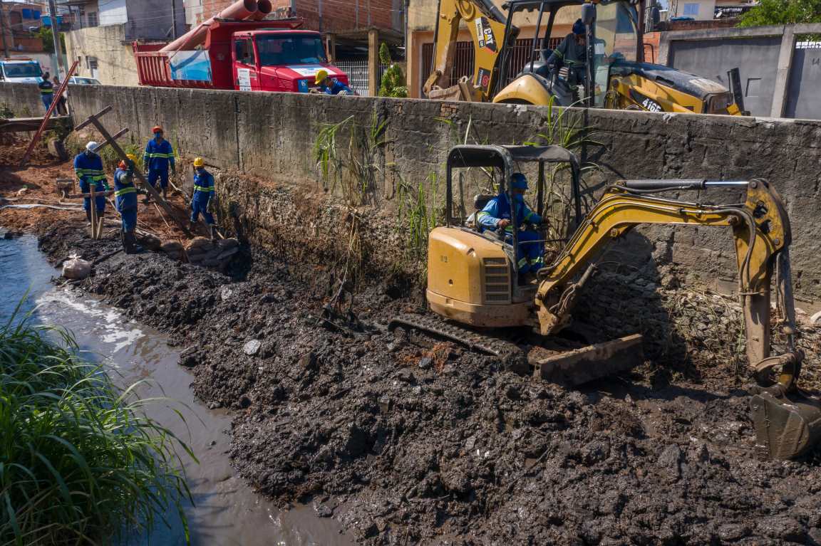 Força-tarefa quer garantir presença de peixes no Rio Pinheiros em dois anos 10 pinheiros3
