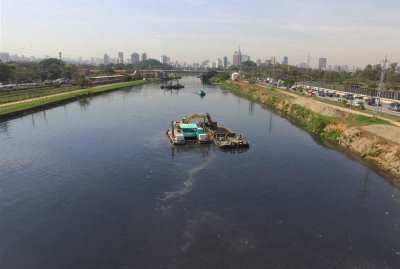 Força-tarefa quer garantir presença de peixes no Rio Pinheiros em dois anos 9 pinheiros4
