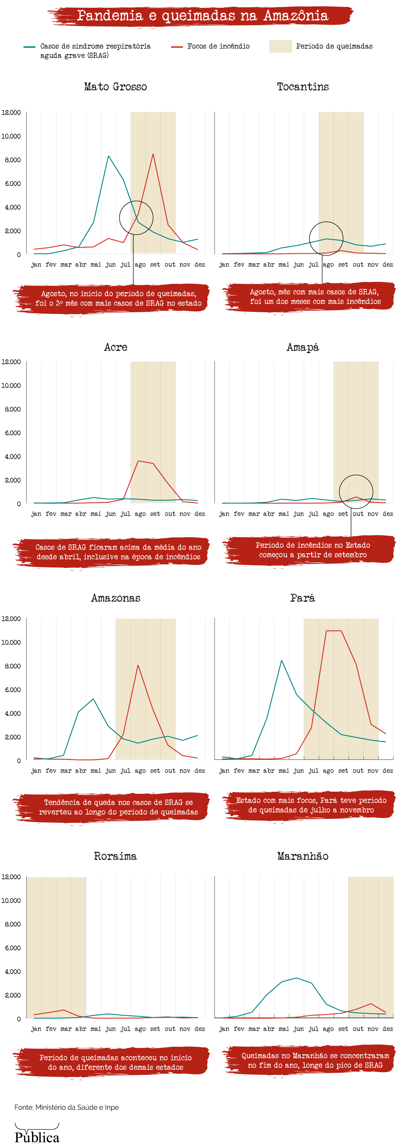 infografico 4 reportagem hospitalizacoes