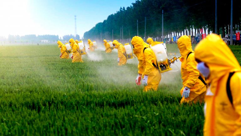 mexico proibe herbicida glifosato e outros paises do continente limitam seu uso img2