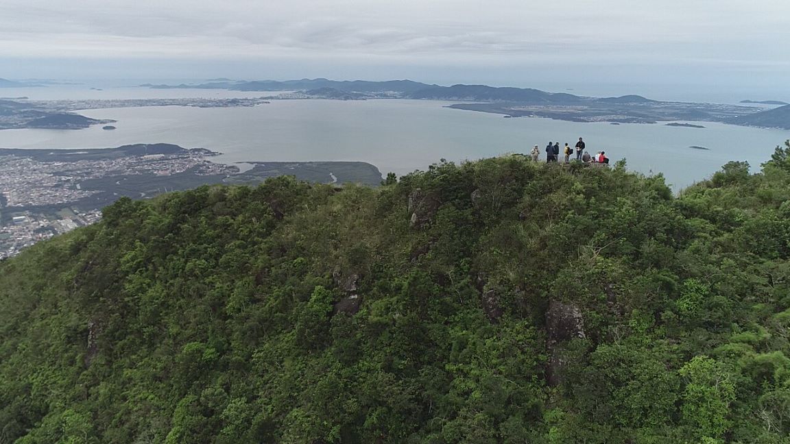 Oeco Cambirela Cassini PE Serra do Tabuleiro