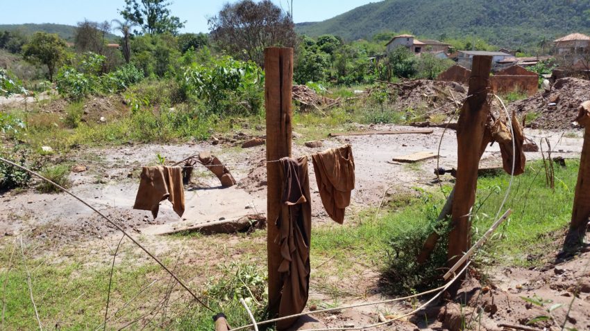 audio revela ameacas e intimidacao de advogada da renova aos atingidos pelo desastre de mariana img7