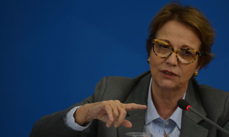 teresa cristina bolsonaro rompe su propio record 2020 es el ano con mayor aprobacion de pesticidas de la historia