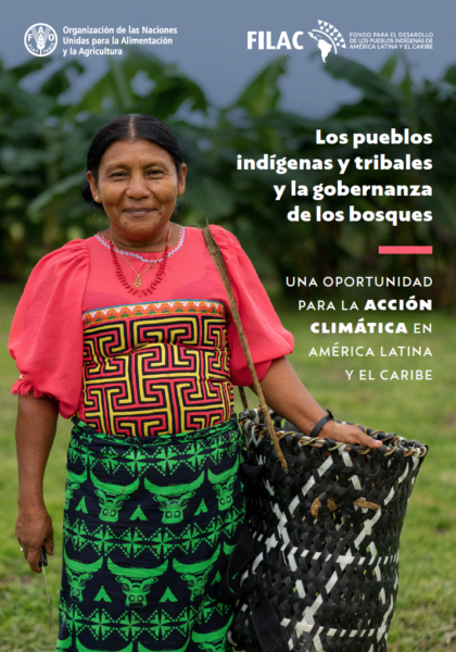 novo relatorio da onu sobre conservacao das florestas ressalta e evidencia tudo o que e negado por bolsonaro diz lider indigena 420x600 1