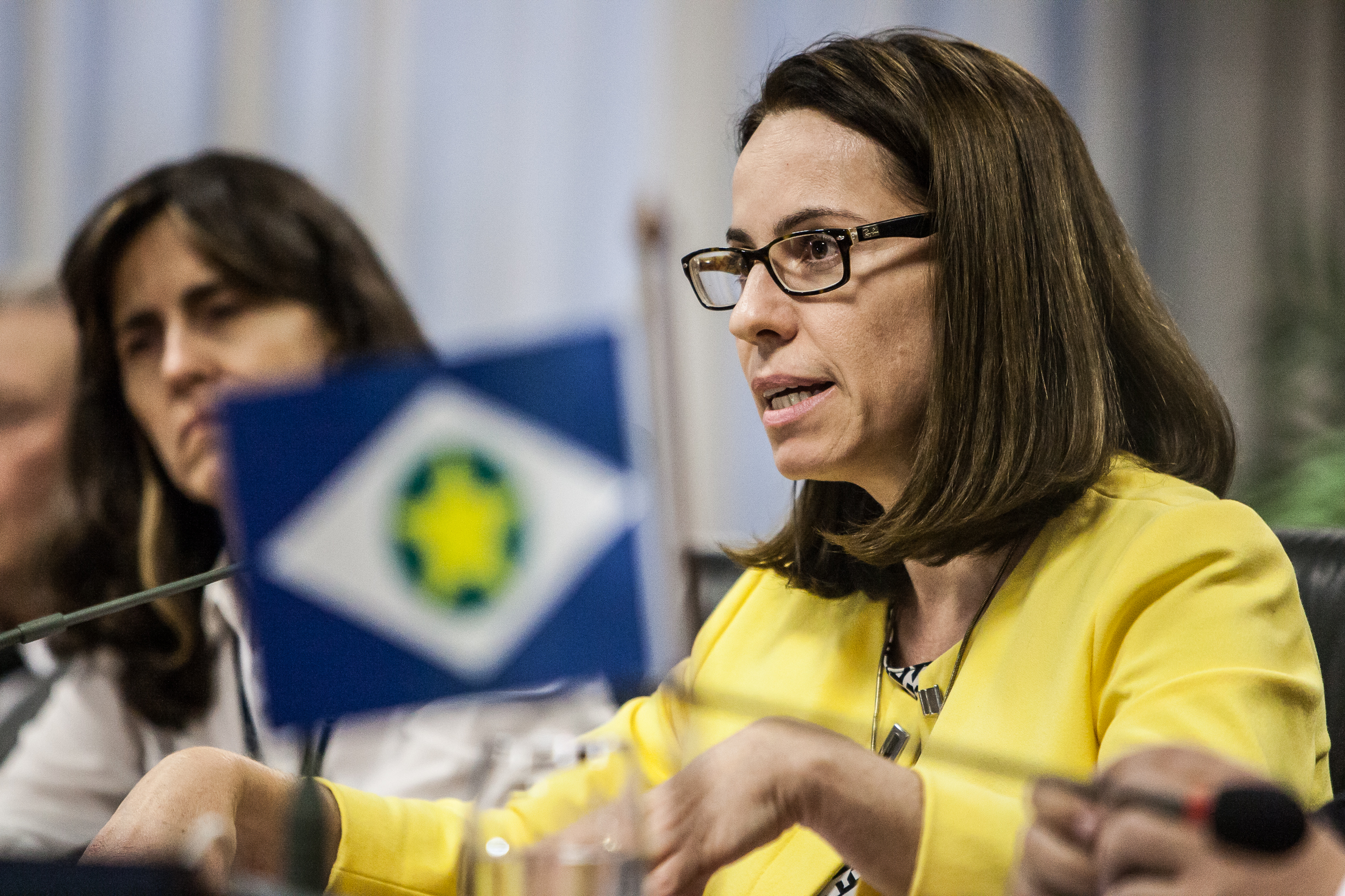 Gilmar Mendes teria usado relações para questionar uso irregular de agrotóxico em suas fazendas no Mato Grosso 37 ana luiza peterlini