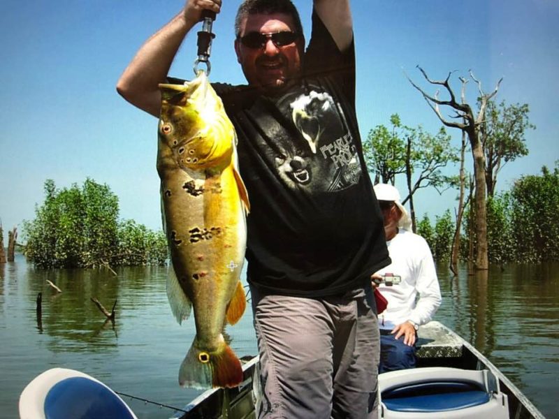 Empresa brasileira de blindagem ligada a militante de Trump multiplica capital em 13 vezes e acumula dívidas 9 mauriciojunot 800x600 1