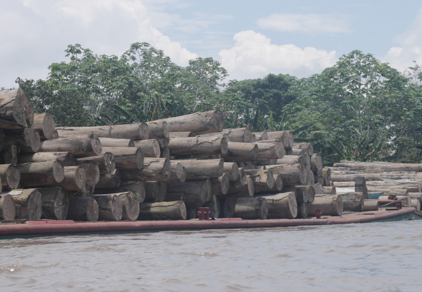 madera pucallpa