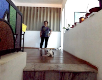 lola2Bgatos2Bjoinha2Be2Biglu2Bset192Bfortaleza