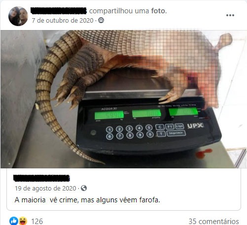 Caçadores ilegais: brasileiros compartilham dicas de caça e venda de armas no Facebook 13 Postagem de Facebook com a foto de um tatu morto sob uma balança com a legenda "A maioria vê crime, mas alguns vêem farofa"
