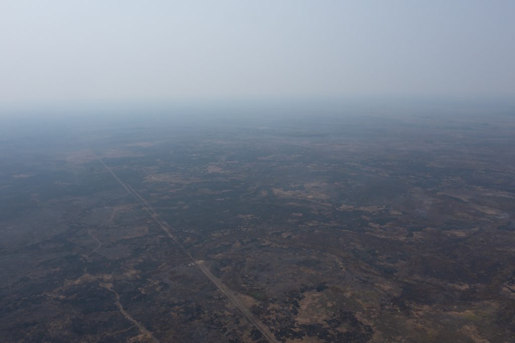 DJI 0777 1024x682 1