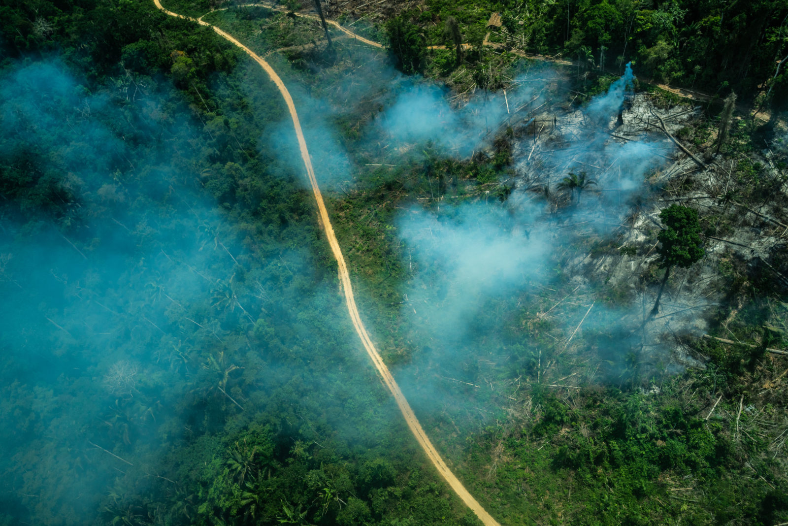 Assassinatos de indígenas aumentaram mais de 60% no primeiro ano da pandemia, aponta CIMI 9 Imagem aérea de área desmatada ilegalmente na Amazônia