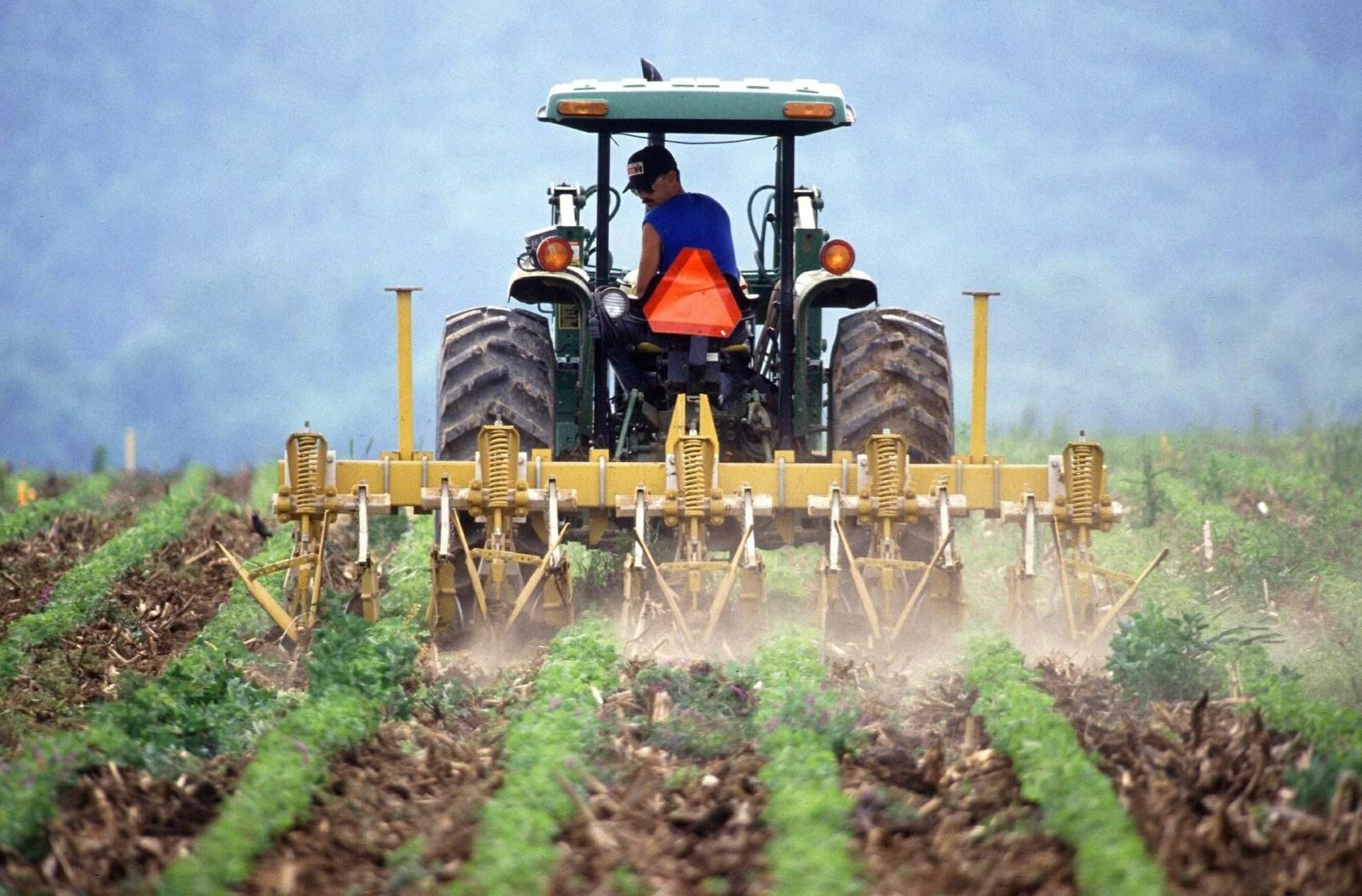 Via decreto, Bolsonaro altera Lei dos Agrotóxicos e flexibiliza aprovação dos venenos 5 soil 386749 1920 pixabay 1600x1053 1