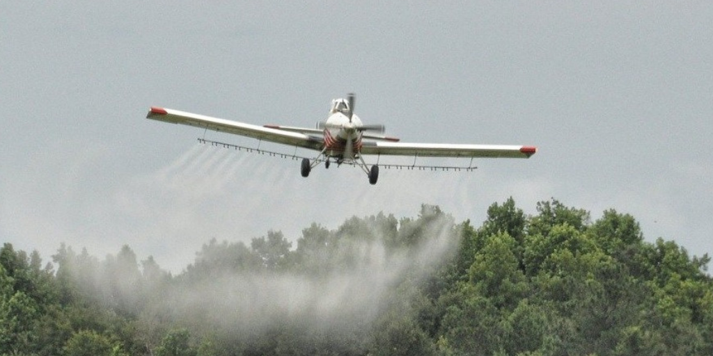 Capa1_Fazendeiros jogam agrotóxico sobre Amazônia para acelerar desmatamento