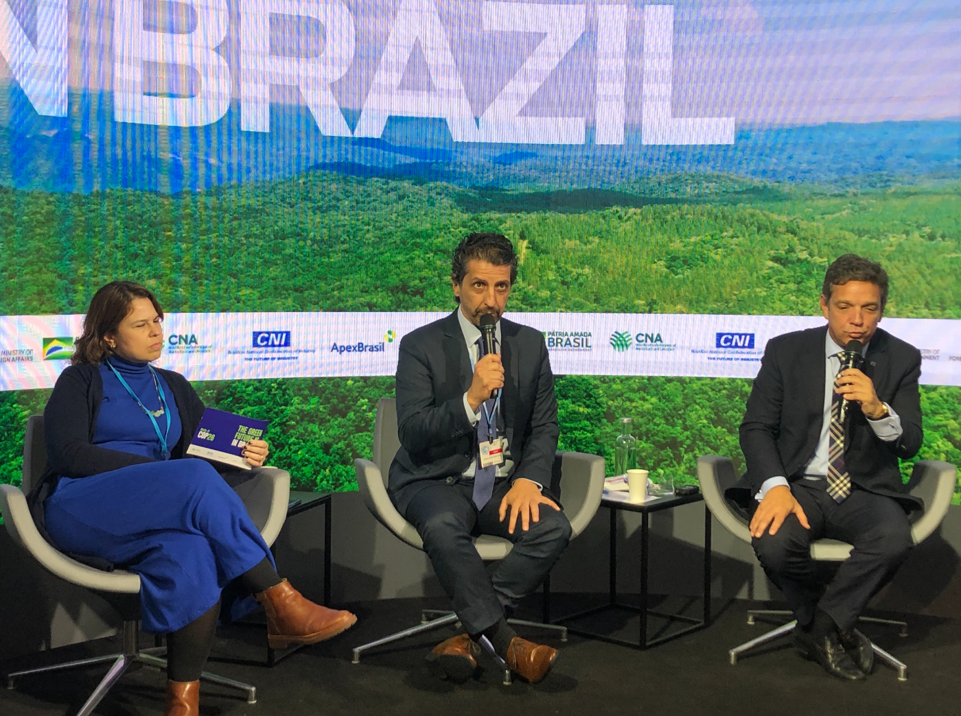 Marketing do governo brasileiro na COP esbarra em altas taxas de desmatamento na Amazônia 8 foto marketing do governo brasileiro na cop esbarra em altas taxas de desmatamento na amazonia