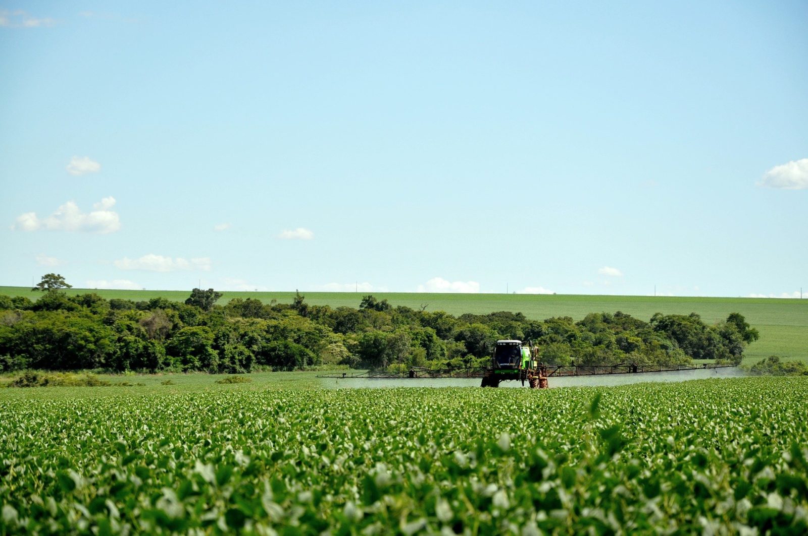 agrotoxicos podem afetar sistema imunologico e aumentar riscos da covid 19 diz relatorio 1600x1063 1