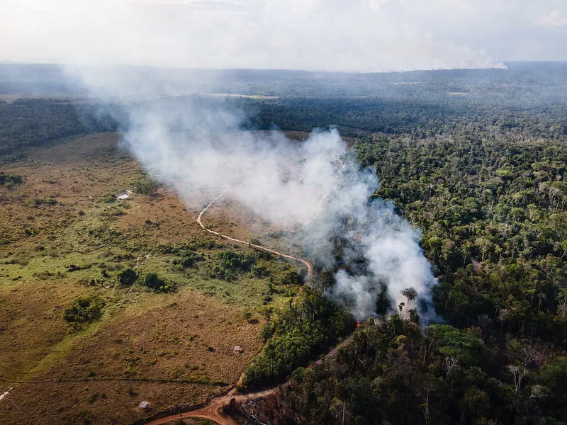 Facebook Papers: los empleados acusan a Zuckerberg de descuidar el negacionismo climático 6 Imagem aérea de território indígena sofrendo com queimadas na Amazônia em 2020