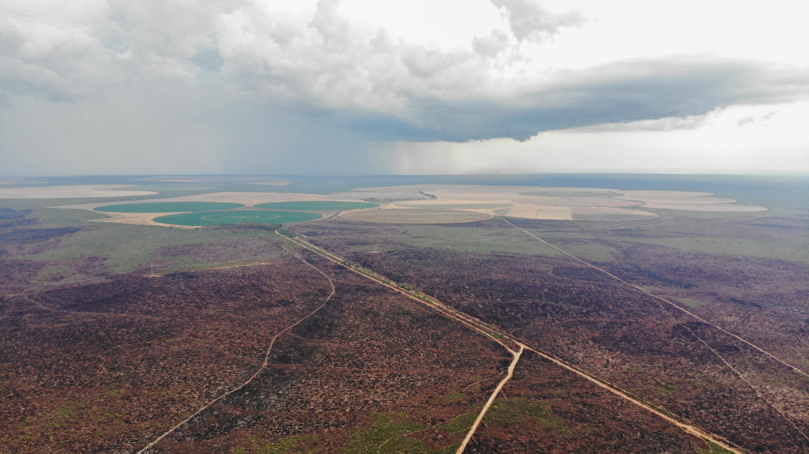 Thelma Krug: IPCC mostra que mudanças no clima tornaram Brasil altamente vulnerável 13 Imagem aérea mostra território atingido pelas mudanças do clima, como a seca