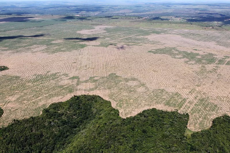 Marina Silva: concorrer à Câmara é fazer frente à “terra arrasada” deixada por Bolsonaro 12 Imagem aérea de área desmatada na Amazônia, com uma divisão entre floresta e terra desmatada
