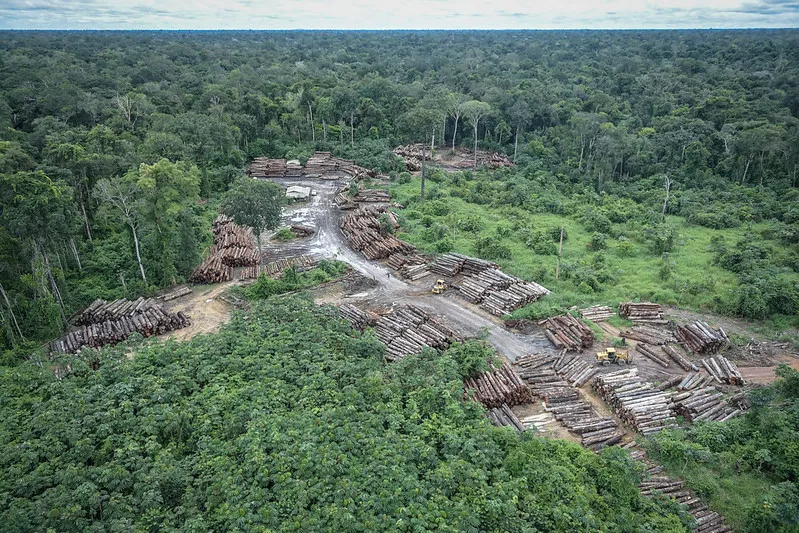 Marina Silva: concorrer à Câmara é fazer frente à “terra arrasada” deixada por Bolsonaro 18 Imagem aérea de área desmatada na Amazônia, mostra "buraco" no meio da floresta com toras de madeira no chão