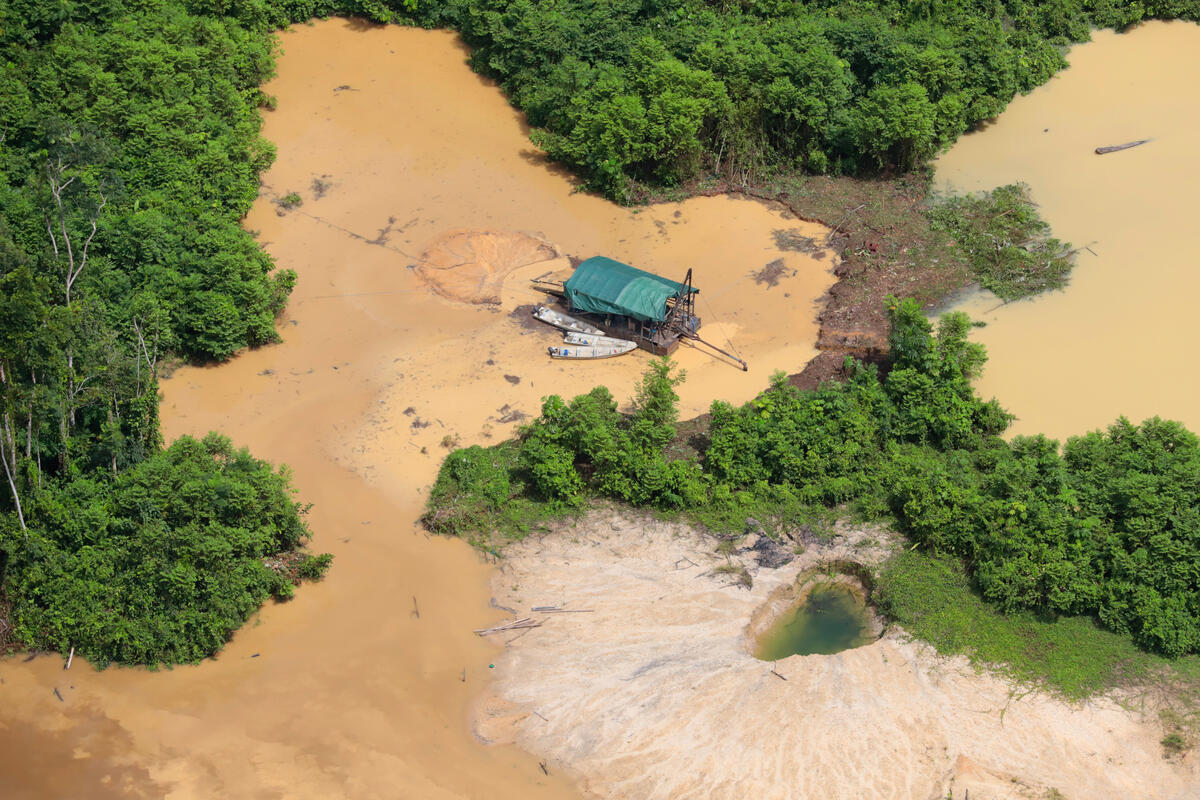 Em sobrevoo realizado em maio de 2020, em Roraima, Greenpeace registrou invasão de garimpeiros na Terra Indígena Yanomami. O desmatamento nas terras indígenas aumentou 64% nos primeiros quatro meses de 2020, em comparação com o mesmo período de 2019. Por estarem dentro ou circulando por esses territórios, garimpeiros, madeireiros e invasores são potenciais transmissores da Covid-19 para os indígenas.