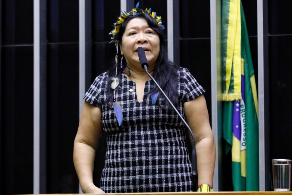 joenia wapichana img5