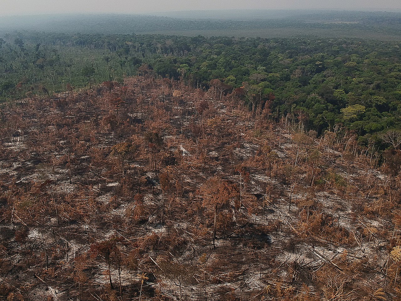 Brasil tem “papel estratégico de segurança climática”, diz ex-ministra Izabella Teixeira 53 Area de floresta derrubada e queimada e vista na regiao da vicinal do Salomao, no municipio de Apui, Amazonas
