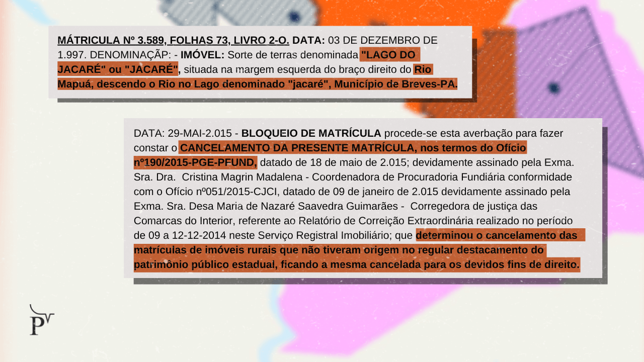 Empresa vende créditos de carbono sobre terras públicas na Ilha do Marajó 14 ed matricula lago do jacare empresa vende creditos de carbono sobre terras publicas na ilha do marajo