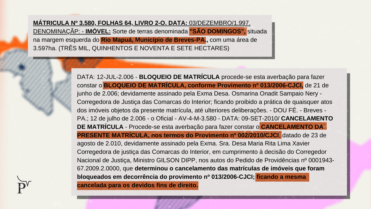 Empresa vende créditos de carbono sobre terras públicas na Ilha do Marajó 13 ed matricula sao domingos empresa vende creditos de carbono sobre terras publicas na ilha do marajo 1