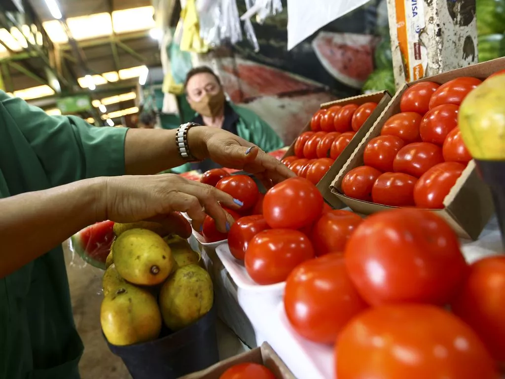 Anvisa suspende testes de agrotóxicos nos alimentos há mais de dois anos 29 Vendedores na Feira da Ceilândia manuseiam tomates