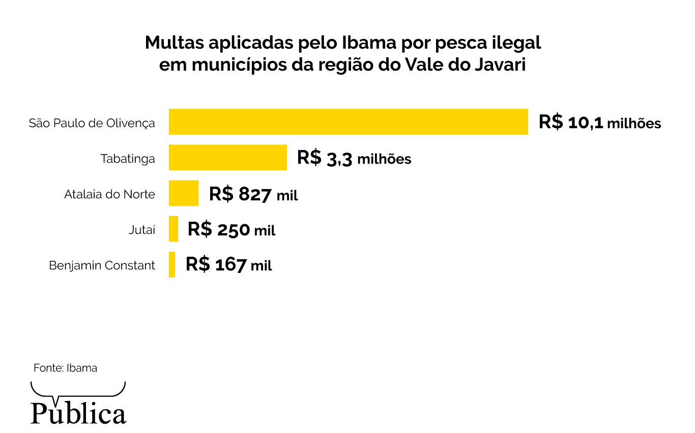 Vale do Javari teve multa recorde por pesca ilegal de pirarucu no Amazonas 12 info 1