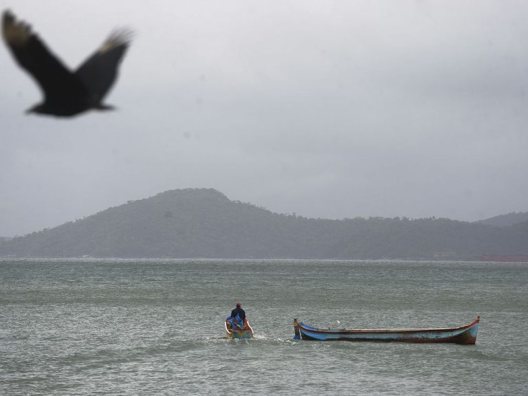 Ilha da Marambaia(RJ) - Vista da Praia da Pescaria Velha na Ilha da Marambaia, Baía de Sepetiba (Tânia Rêgo/Agência Brasil)