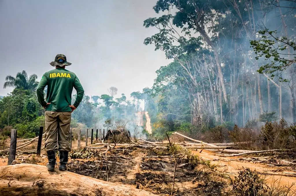 desmatamento multados em r 444 mil pelo ibama senadores votam leis com impactos ambientais