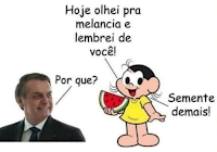 elei2520jn2520semente