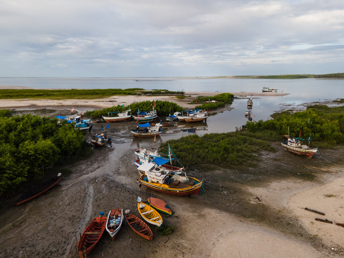 “Gurijuba, não vi mais”: falta de peixe afeta alimentação de comunidades amazônicas 42 Barcos estão reunidos próximo a área litorânea