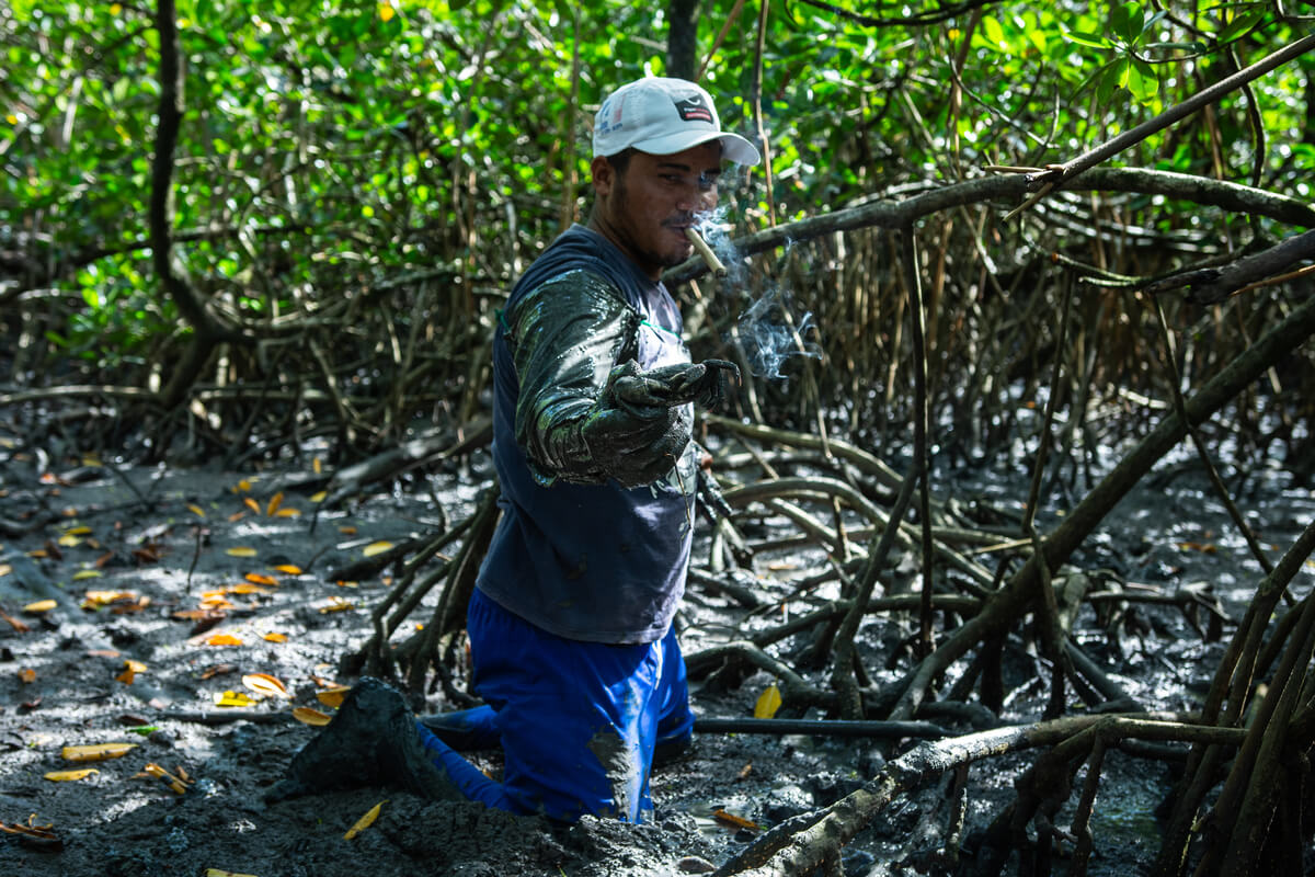 “Gurijuba, não vi mais”: falta de peixe afeta alimentação de comunidades amazônicas 46 Pescador ajoelhado no mangue