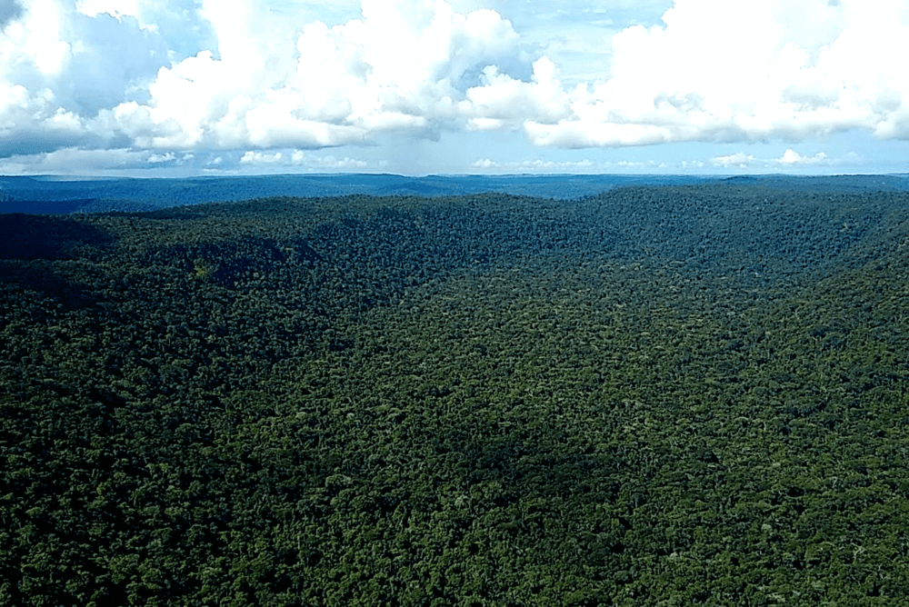 parque estadual guajara mirim juiz acusado de chefiar grupo criminoso foi alvo de processo por relacao com fazendeiro de ro