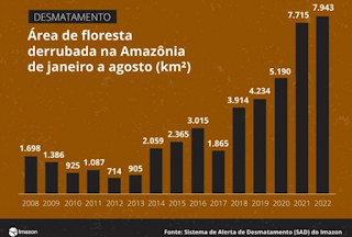 gg252022520desmatamento2520am