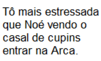 noe2520eleicoes2520estressada