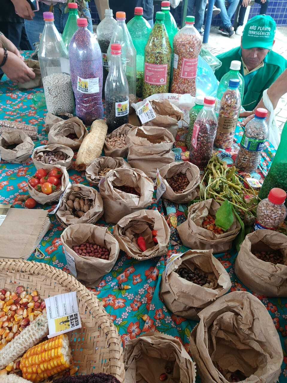 Bolsonaro destinou zero reais a pequenos e médios agricultores no último ano 17 Foto6 Bolsonaro destinou zero reais a pequenos e medios agricultores no ultimo ano