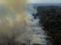 elei2520desmatamento