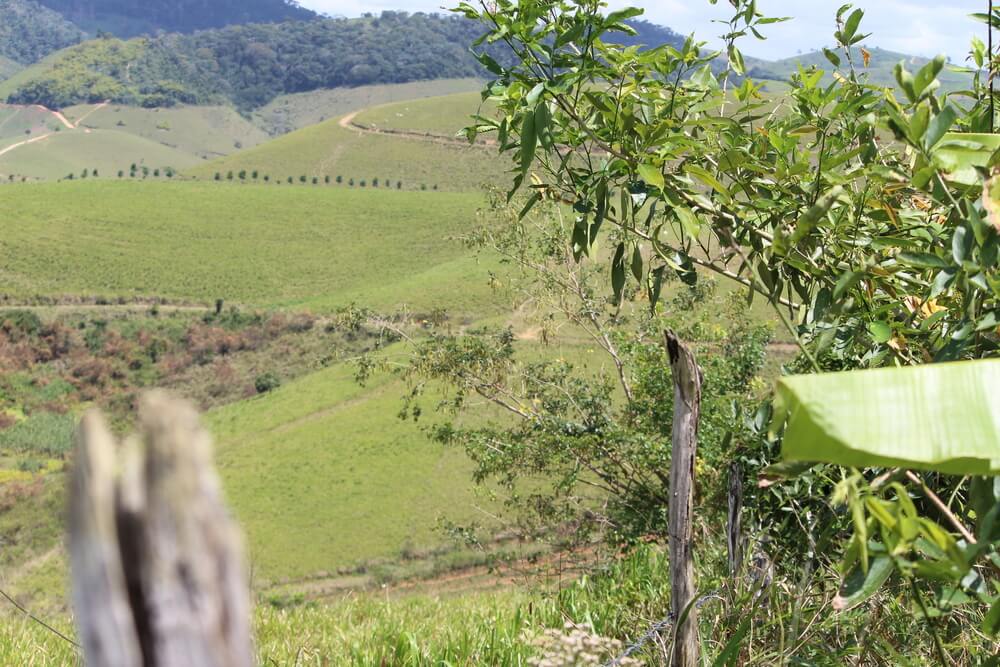 Foto2 Drones jogam agrotoxicos sobre comunidades rurais e intoxicam moradores em Pernambuco
